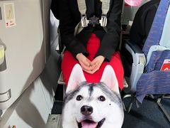 -小滨楼(渝都大道店)