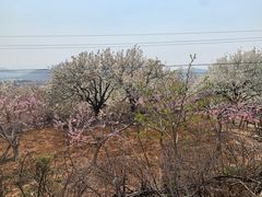 -红嫂家乡旅游区