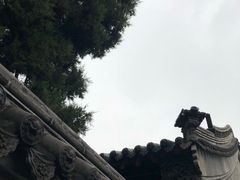 -保定直隶总督署博物馆
