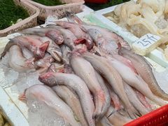 -都斛海鲜街
