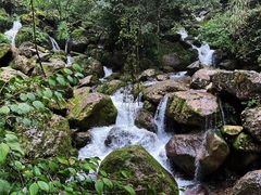 -青城山