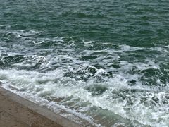 -悦海公园