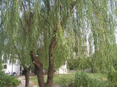 -锦江中华村农家乐饭庄