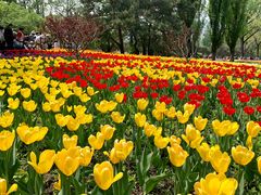 -国家植物园南园