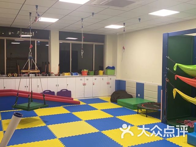 雅恩辅育言语训练感统训练自闭症干预浦东中心店