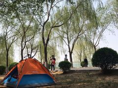 -丁香湖公园