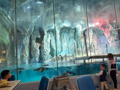 -帝企鹅自助餐厅•儿童岛•真企鹅(长隆企鹅酒店)