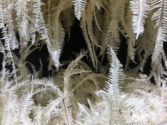 -成都许燎源现代设计艺术博物馆