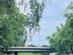-皇家御河游(紫御湾码头)
