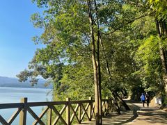 -广州市流溪河国家森林公园