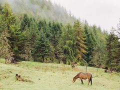 -硗碛藏寨·神木垒景区