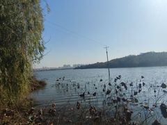 -盘龙城国家考古遗址公园