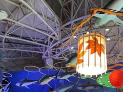 -烟台海昌鲸鲨海洋公园