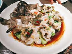 -粤凤佬