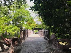 -南汇桃花村