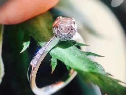 -I Do(镇江苏宁广场店)