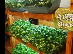 -福苗小骆驼烧烤(曲江店)