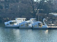 -井之头恩赐公园