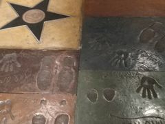 -星辰9号幻影会