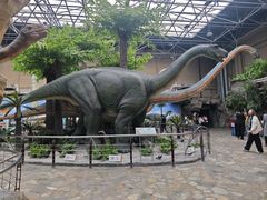 -国家自然博物馆