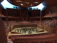 iphone_upload_pic-华特·迪士尼音乐厅