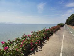 -贡湖湾湿地公园