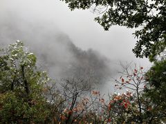 -塔云山