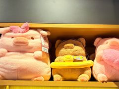 -猫的天空之城概念书店(印象城购物中心店)