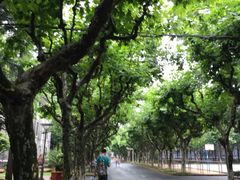-Helens海伦司小酒馆(复旦大学店)