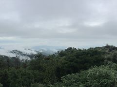-木兰云雾山