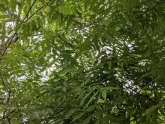 -维乐口腔医院(福清院)