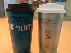 -雾与山茶(大禹城店)