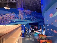 -烟台海昌鲸鲨海洋公园