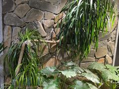 -陈熹公民族美食文化餐厅(中华广场店)