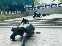 -广东惠东海龟国家级自然保护区