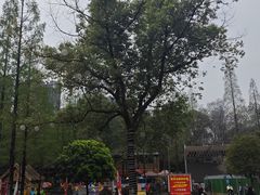 -塔子山公园