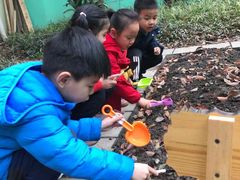 -上海市白玉兰幼儿园