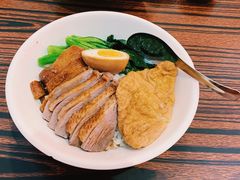 双拼饭-陈鹏鹏潮汕菜(宝安机场T3航站楼店)