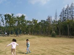 -上海长兴岛郊野公园