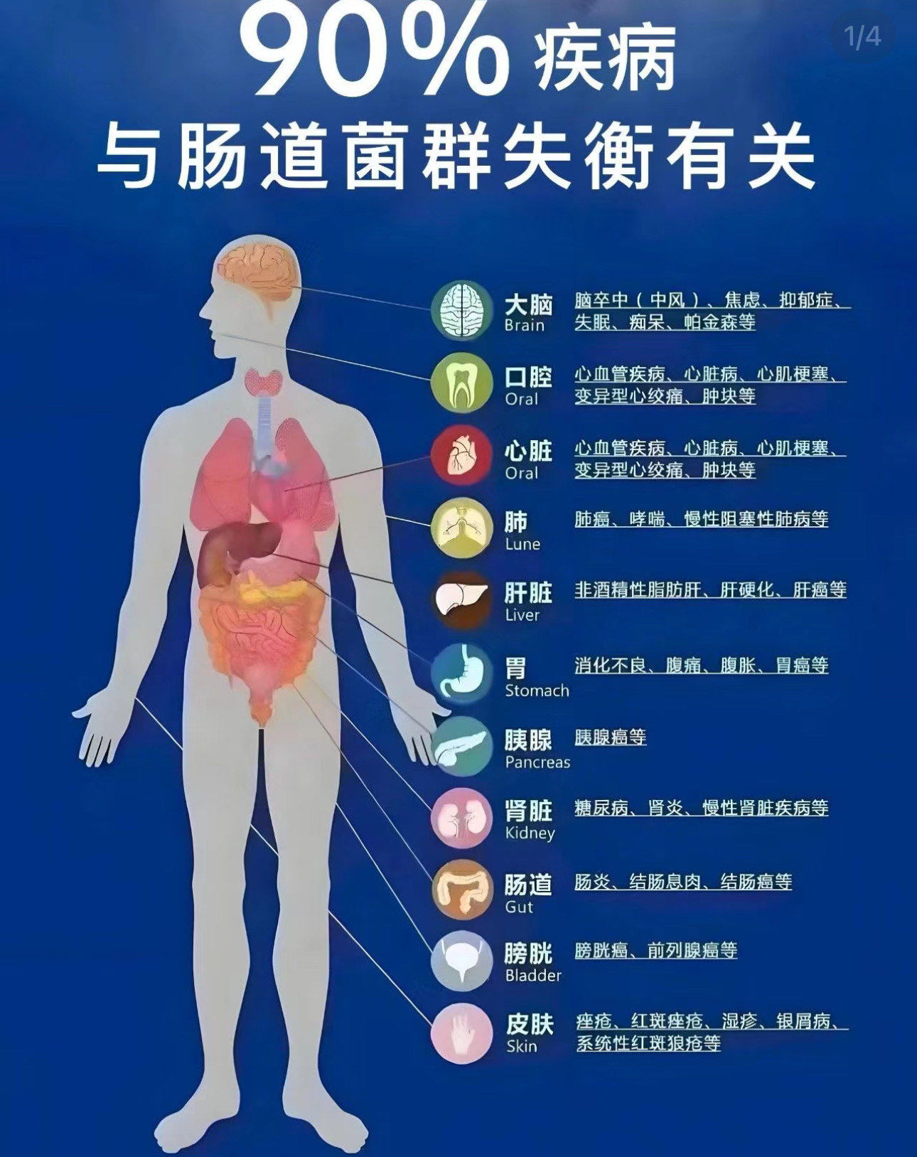 肠道菌群与多种疾病有关.一方面,肠道菌群失衡可能引发疾病