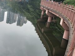 -重庆彩云湖湿地公园