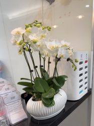 -上海首尔丽格医疗美容医院