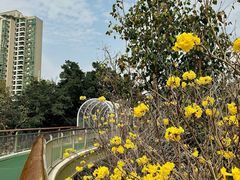 -福田红树林生态公园