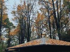 -西湖风景区十里琅珰-五云山