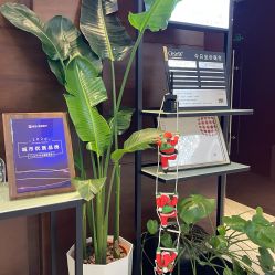 -洁铭新加坡医美