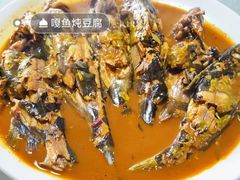 -金台阶鱼馆(于桥水库店)