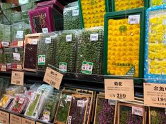 -阪急百货店(梅田总店)