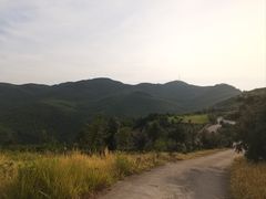-莫干山风景区