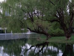 -百脉泉景区