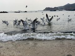 -石槽海滨浴场